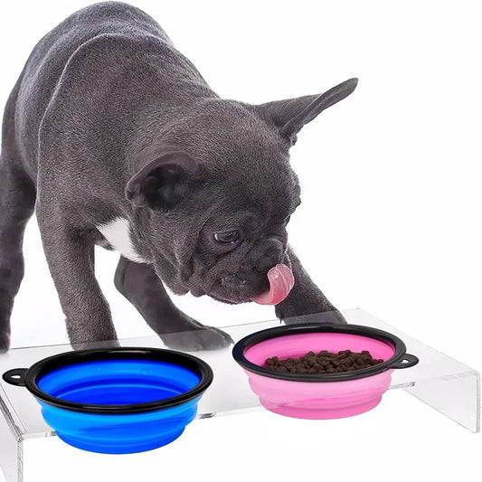 Folding Silicone Dog Bowl with Food & Water