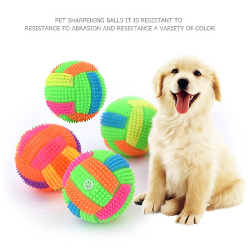 Glow & Squeak Dog Chew Ball