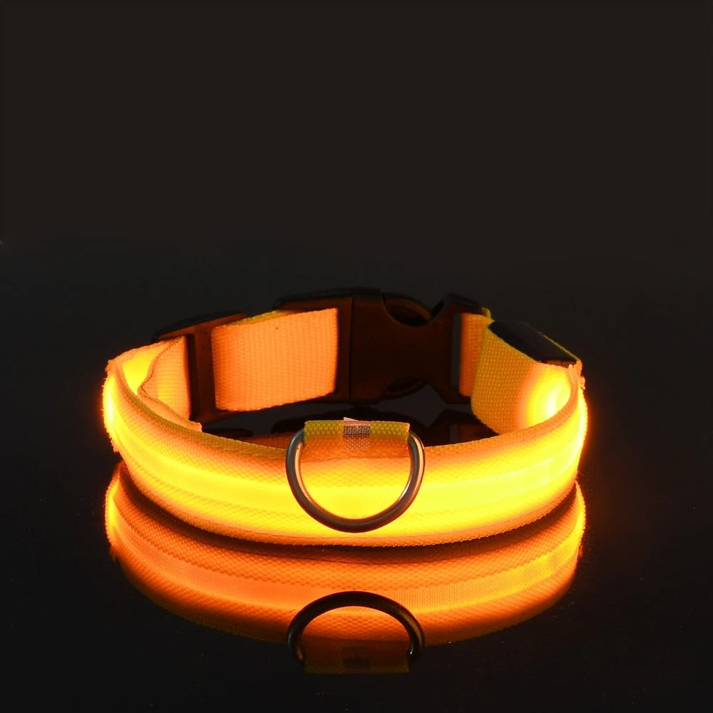 LED Glow Dog Leash & Collar Set