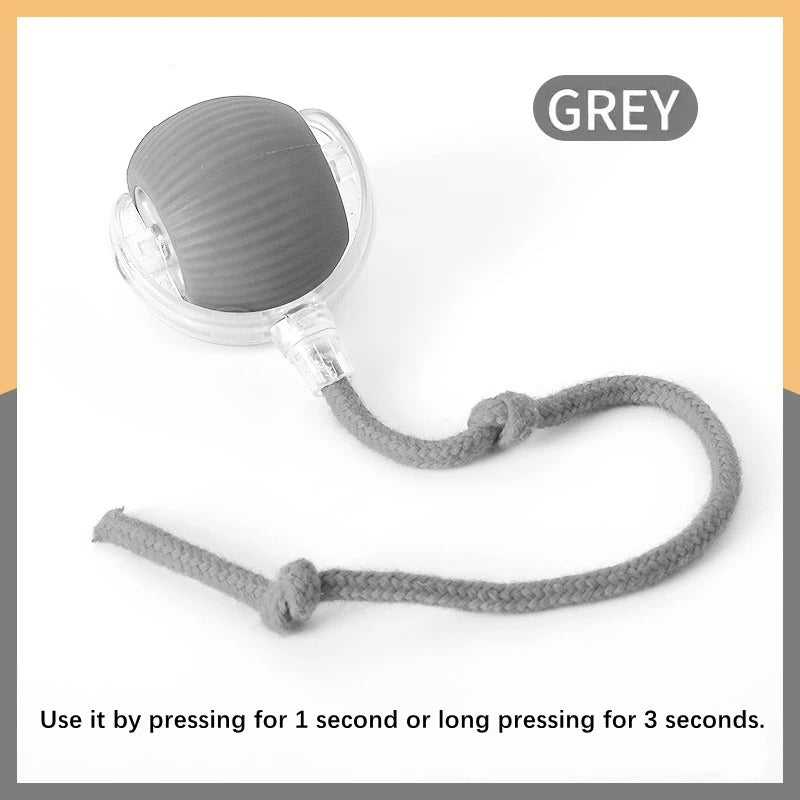 Smart Bounce Ball – USB Moving Dog Toy