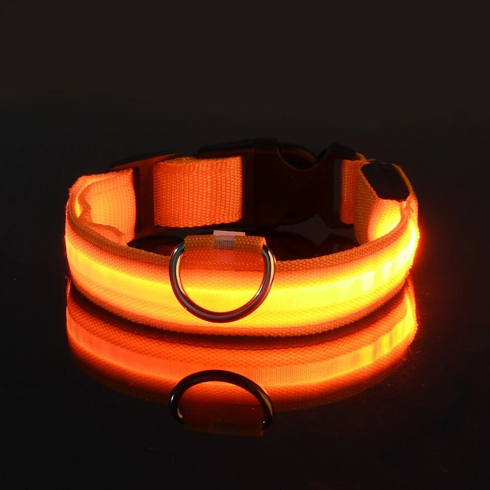 LED Glow Dog Leash & Collar Set