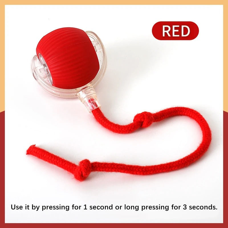 Smart Bounce Ball – USB Moving Dog Toy
