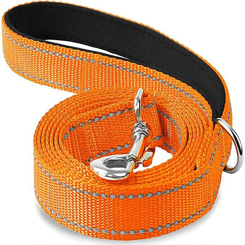 Reflective Pet Harness Leash