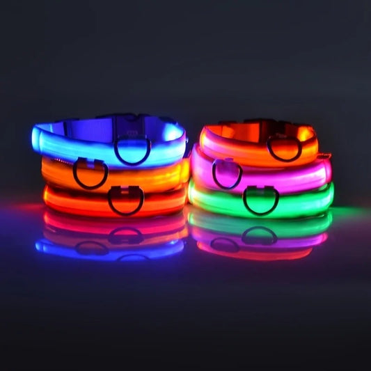 LED Glow Dog Leash & Collar Set