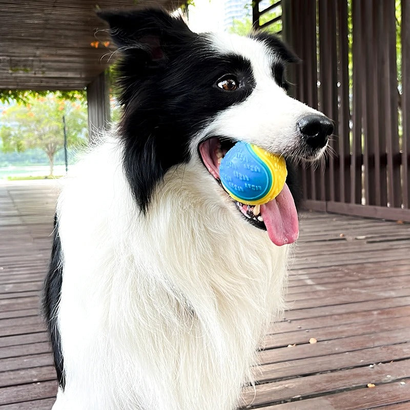 Durable TPR Dog Chew Toy