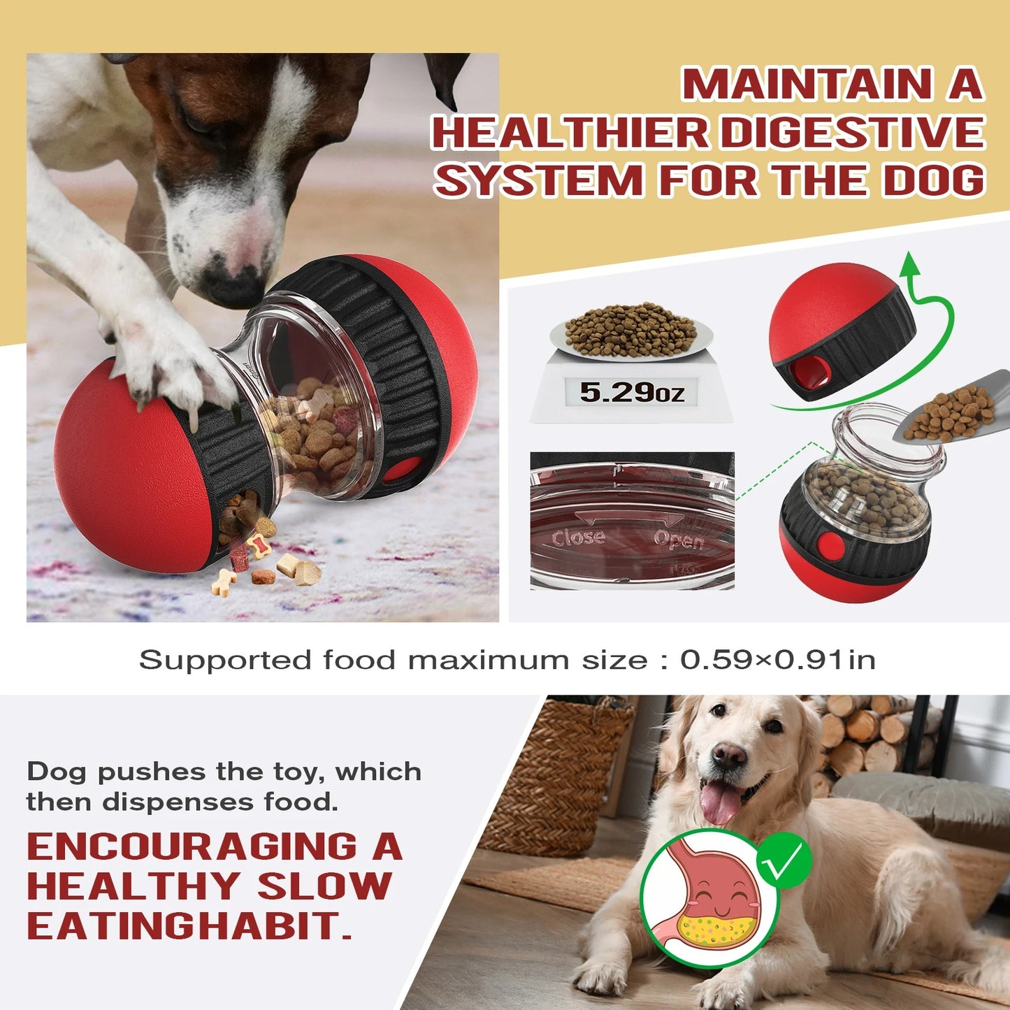 Interactive IQ Toy & Feeder Ball