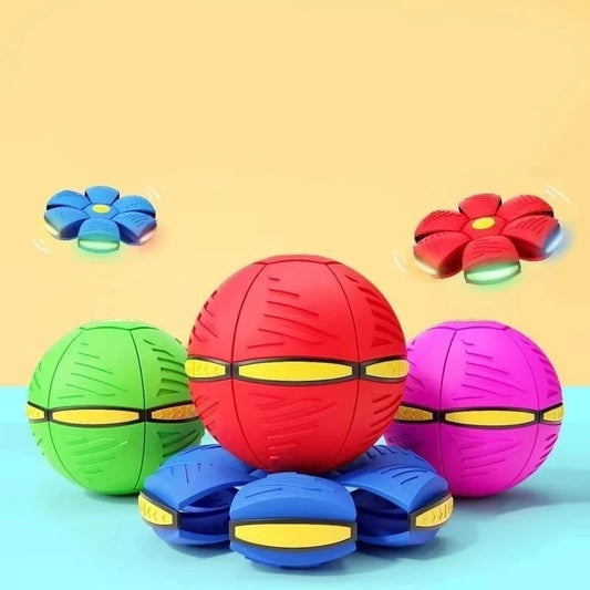 2-in-1 Flying Saucer & Bouncy Dog Ball