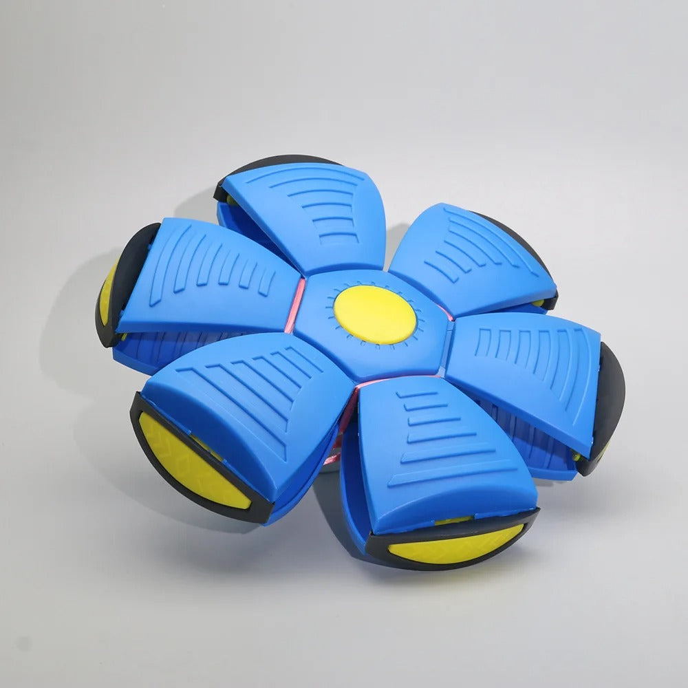 2-in-1 Flying Saucer & Bouncy Dog Ball