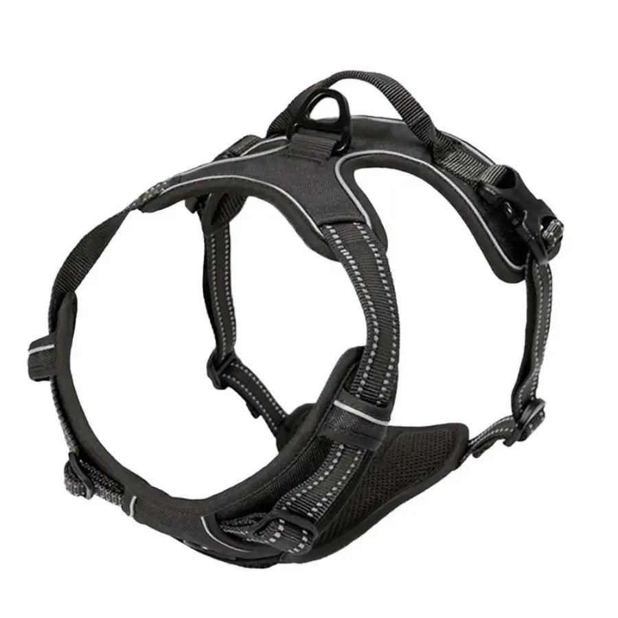 Premium Dog Collar & Harness Set