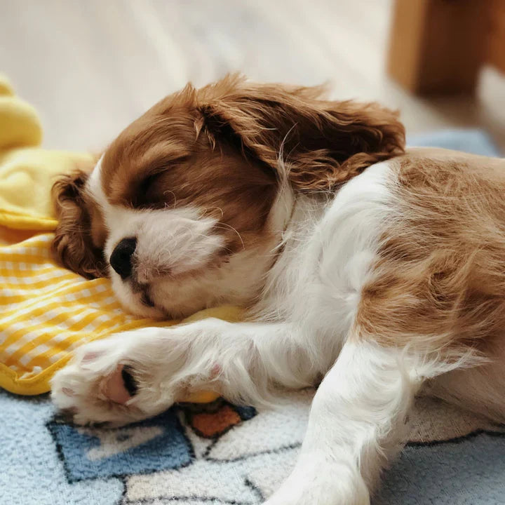 Rest