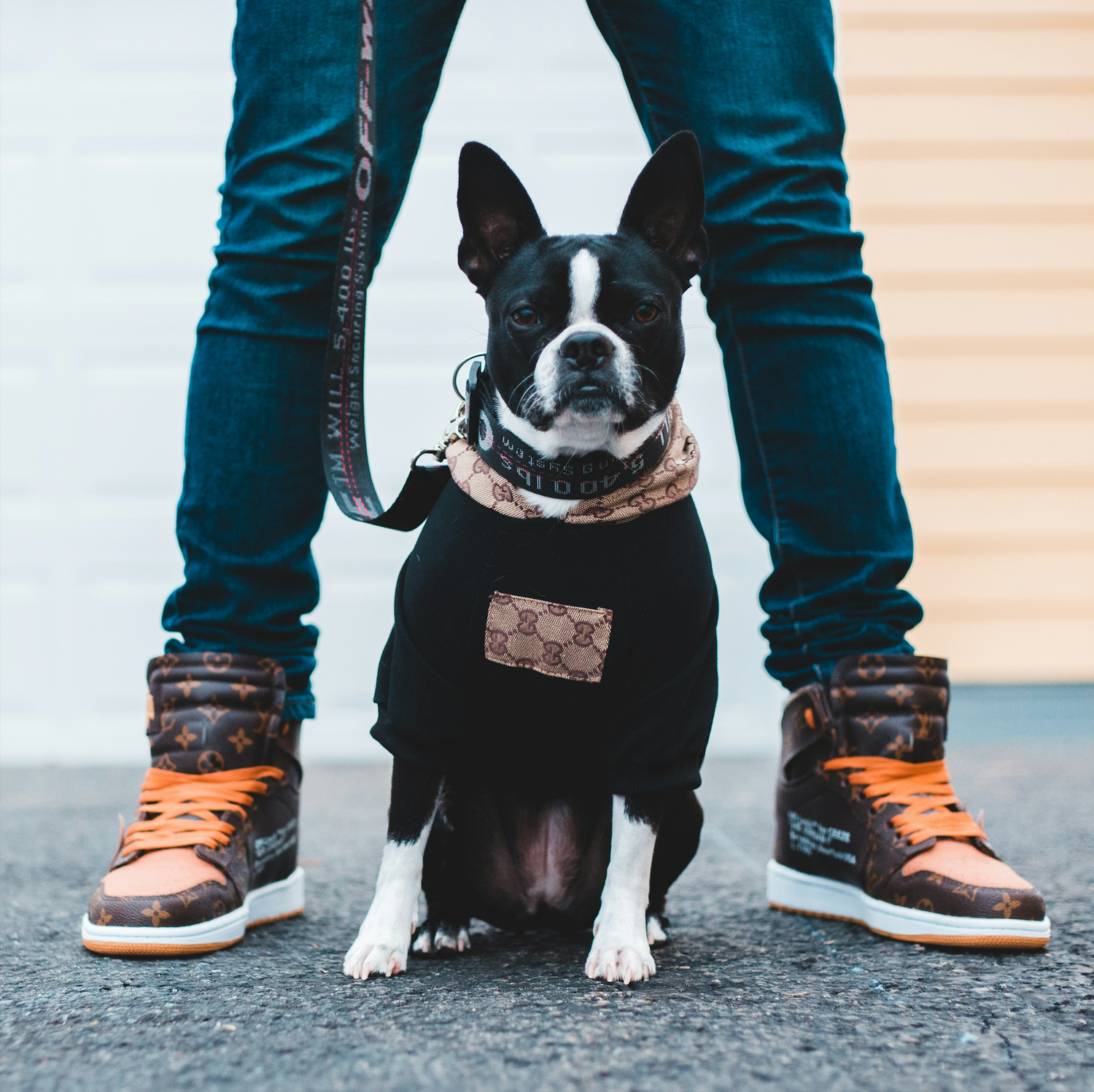 Walk