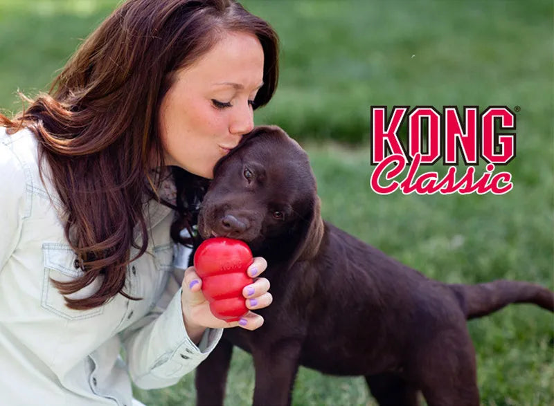 KONG Classic Teething Chew + Treat