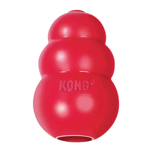 KONG Classic Teething Chew + Treat