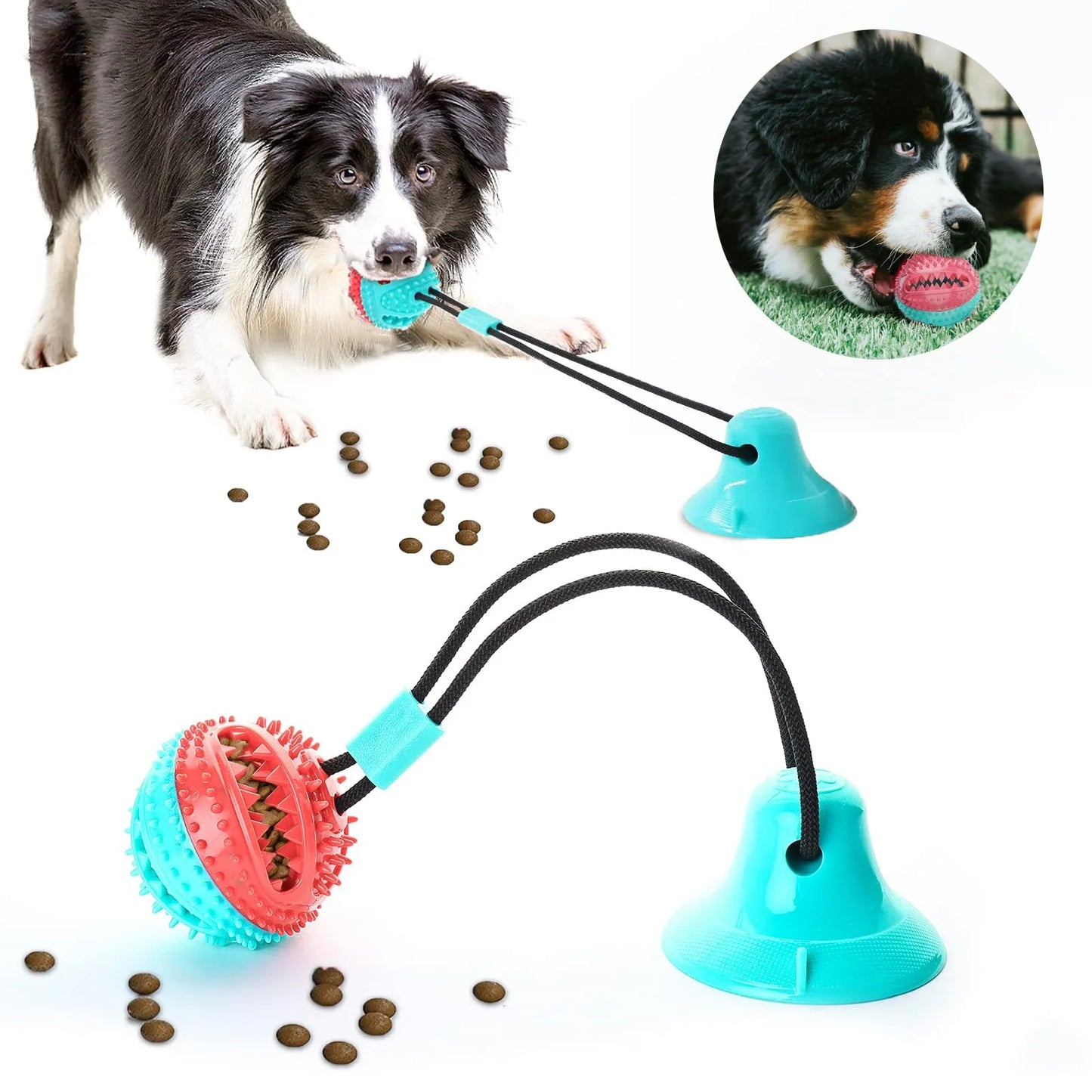 Indestructible Suction Cup Tug Toy