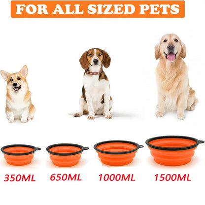 Folding Silicone Dog Bowl with Food & Water
