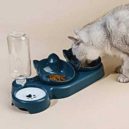 Tilted Pet Bowl Set with Auto Water Feeder