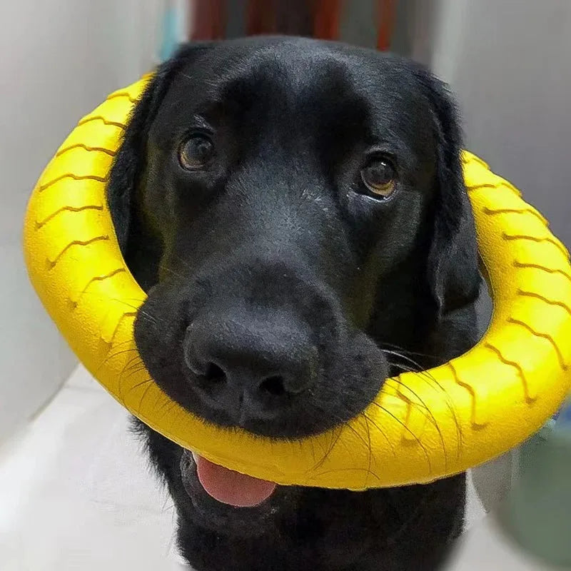 Indestructible Flying Ring Toy for Dogs
