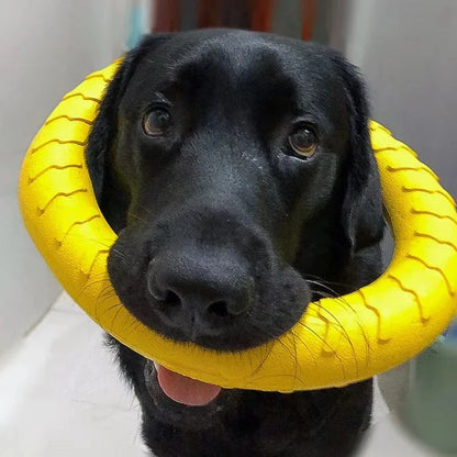 Indestructible Flying Ring Toy for Dogs