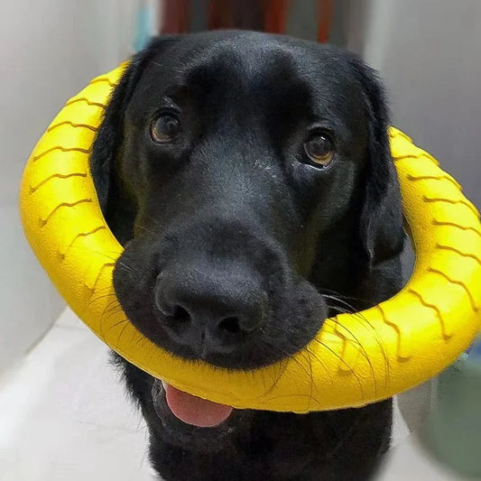 Indestructible Flying Ring Toy for Dogs