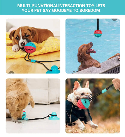 Indestructible Suction Cup Tug Toy