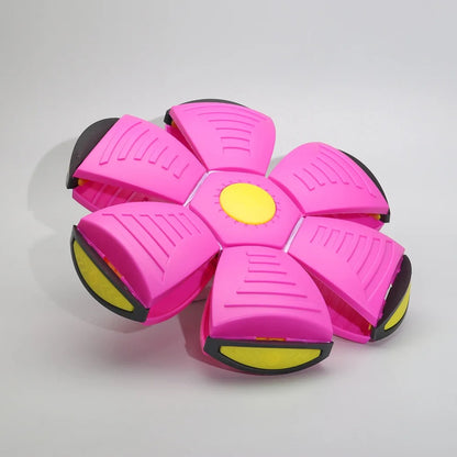 2-in-1 Flying Saucer & Bouncy Dog Ball