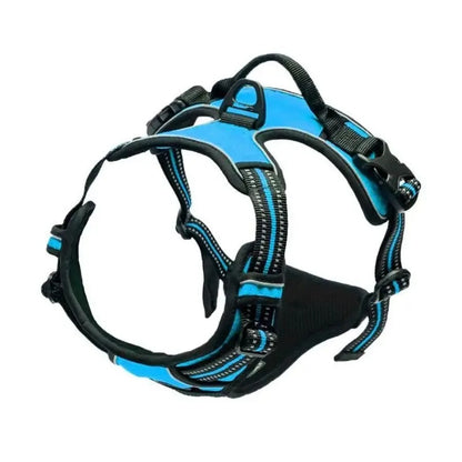 Premium Dog Collar & Harness Set