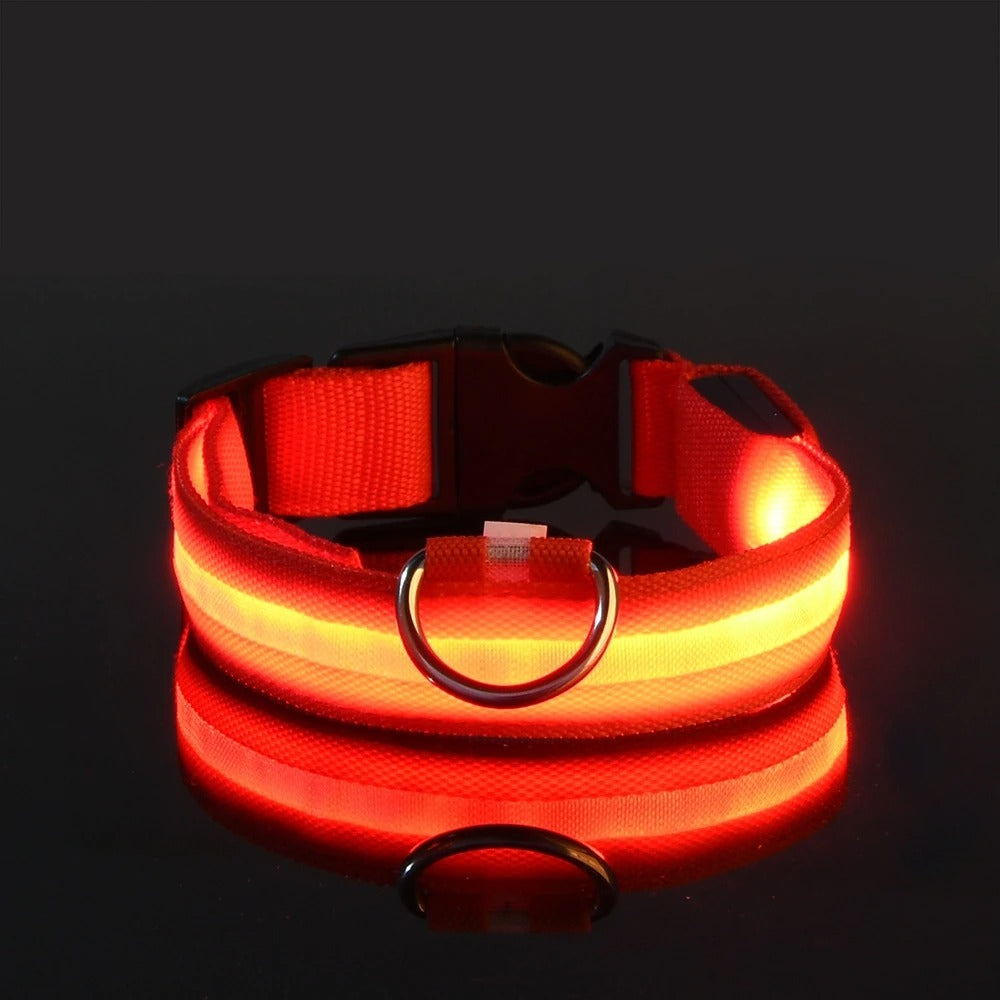 LED Glow Dog Leash & Collar Set