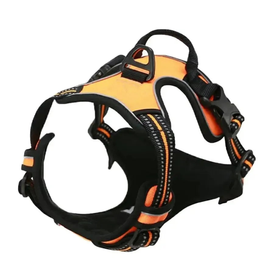 Premium Dog Collar & Harness Set
