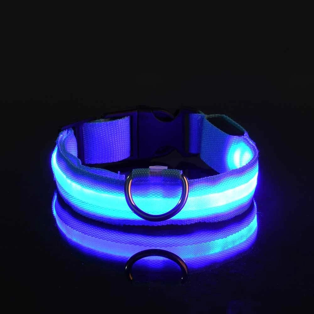 LED Glow Dog Leash & Collar Set