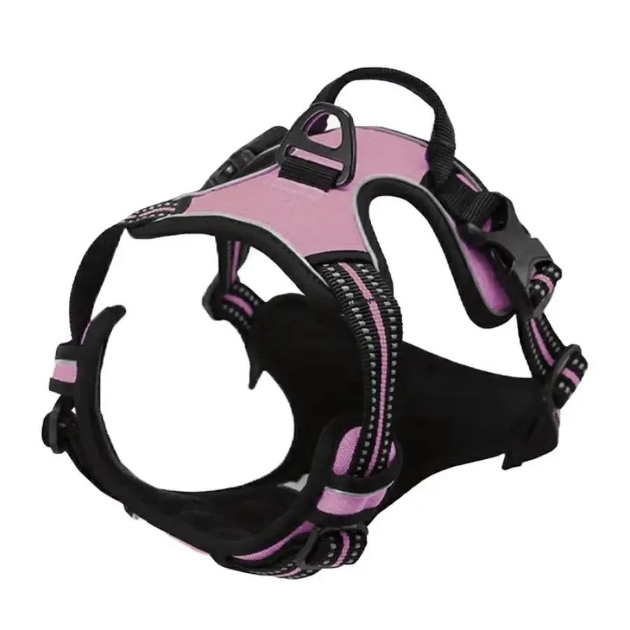 Premium Dog Collar & Harness Set