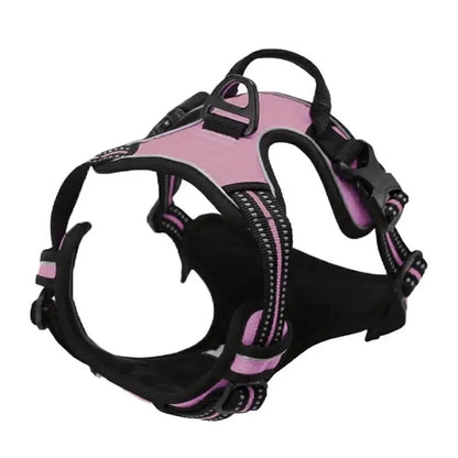 Premium Dog Collar & Harness Set