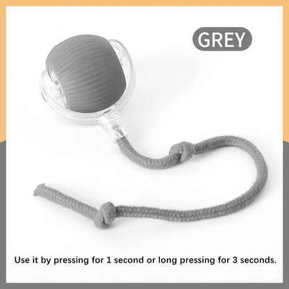 Smart Bounce Ball – USB Moving Dog Toy
