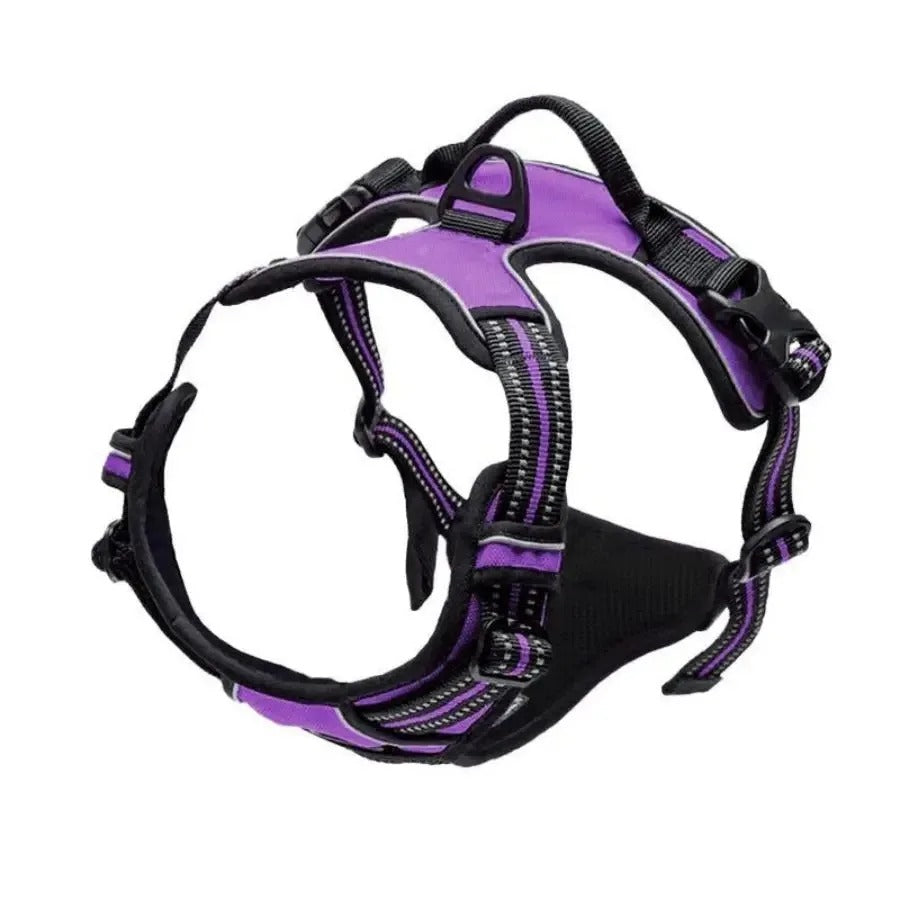 Premium Dog Collar & Harness Set