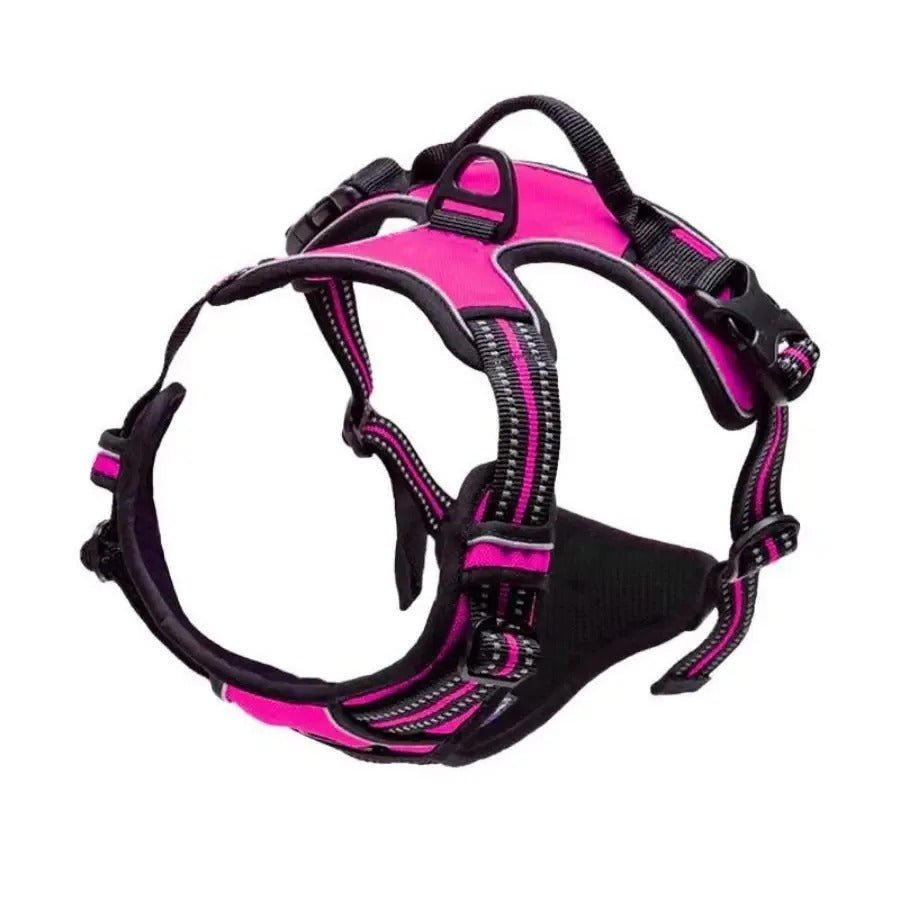 Premium Dog Collar & Harness Set