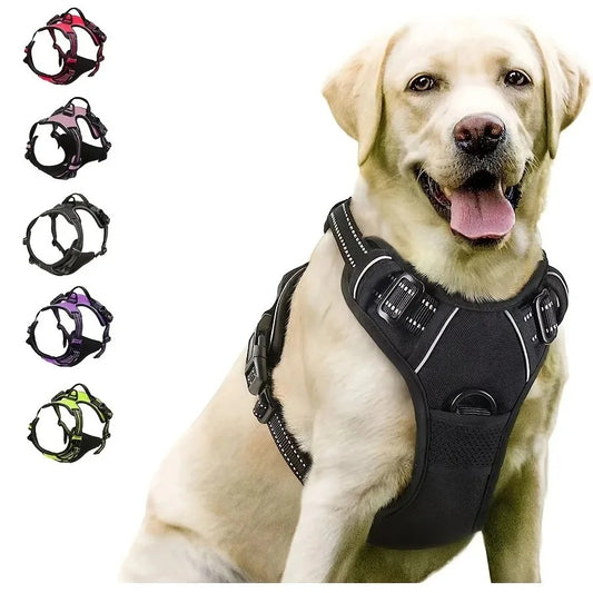 Premium Dog Collar & Harness Set