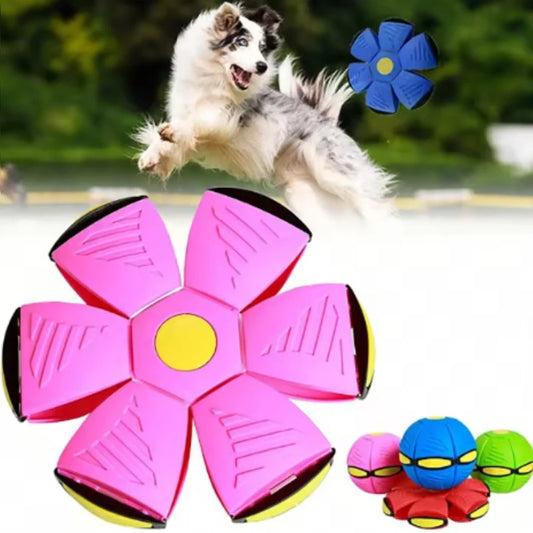 2-in-1 Flying Saucer & Bouncy Dog Ball
