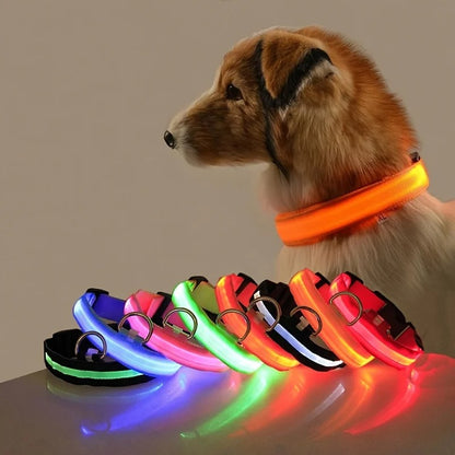 LED Glow Dog Leash & Collar Set