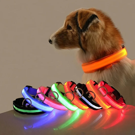 LED Glow Dog Leash & Collar Set