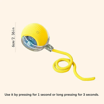 Smart Bounce Ball – USB Moving Dog Toy