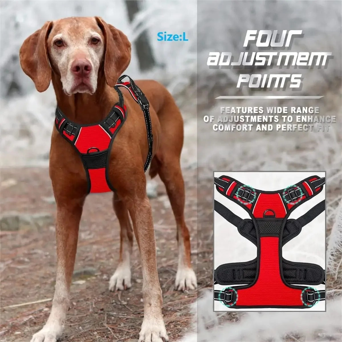 Premium Dog Collar & Harness Set