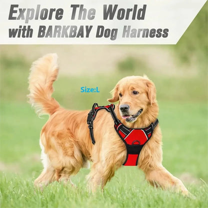 Premium Dog Collar & Harness Set