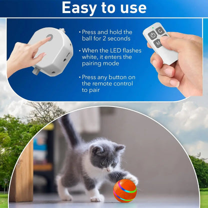 Remote - Control Dog Toy Ball