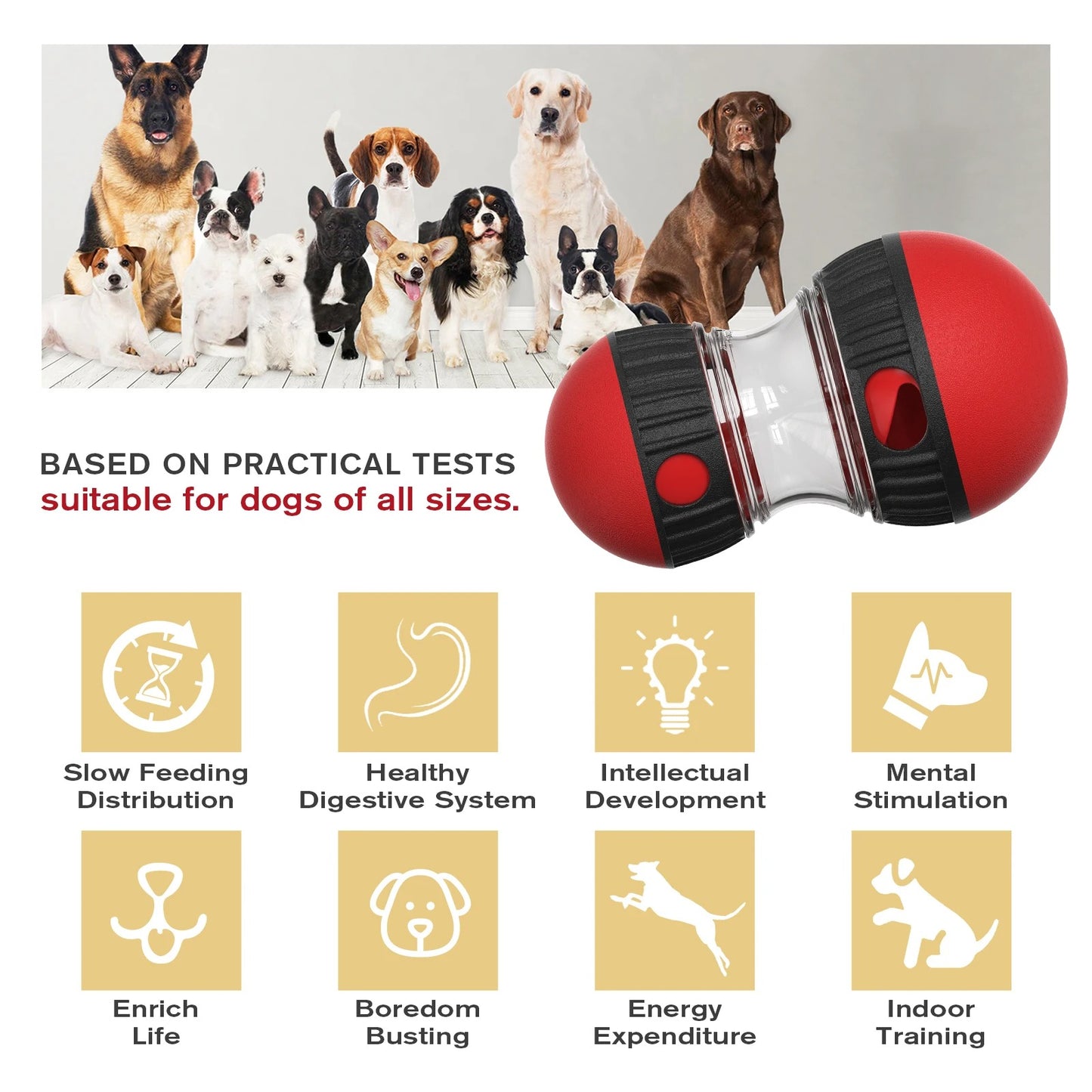 Interactive IQ Toy & Feeder Ball