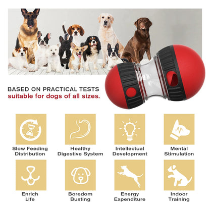 Interactive IQ Toy & Feeder Ball