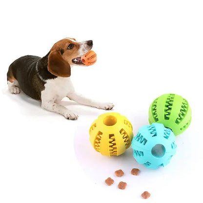 Treat Chew Ball for Dogs