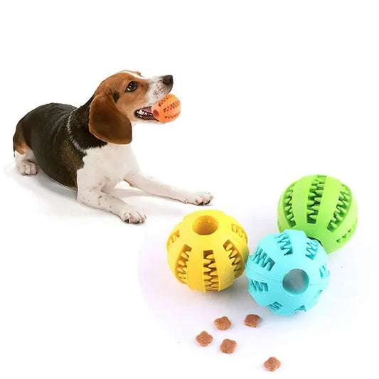 Treat Chew Ball for Dogs