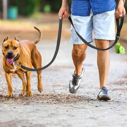 Reflective Pet Harness Leash