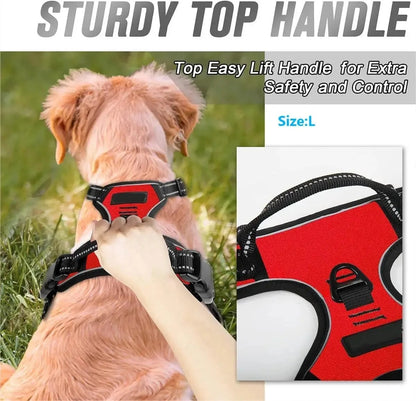 Premium Dog Collar & Harness Set