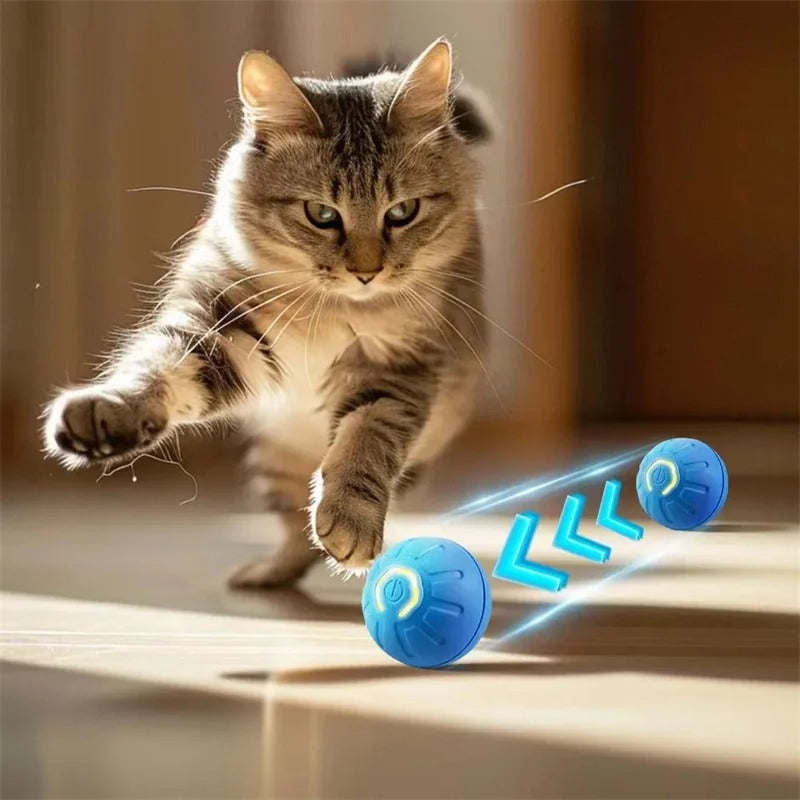 Smart Bounce Ball – USB Moving Dog Toy