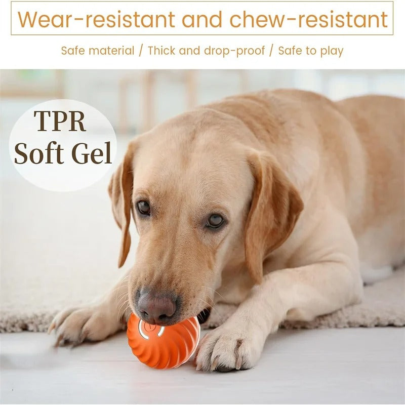 Smart Bounce Ball – USB Moving Dog Toy
